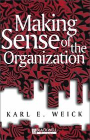 Making sense of the organization /