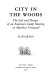 City in the woods : the life and design of an American camp meeting on Martha's Vineyard /