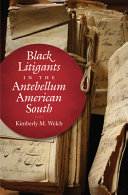 Black litigants in the antebellum American South /