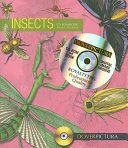 Insects : pictura /