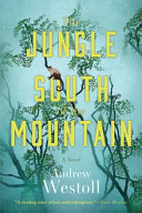 The jungle south of the mountain : a novel /