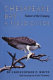 Chesapeake Bay : nature of the estuary : a field guide /