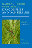 Natural history of Delmarva dragonflies and damselflies : essays of a lifelong observer /