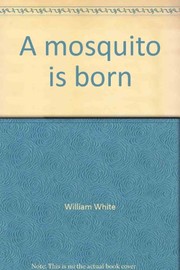 A mosquito is born /