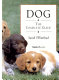 Dog : the complete guide /