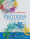 Proteins : structure and function /