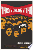 Third worlds within : multiethnic movements and transnational solidarity /