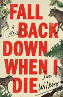 Fall back down when I die : a novel /