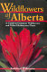 Wildflowers of Alberta : a guide to common wildflowers and other herbaceous plants /