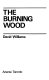 The burning wood /