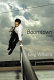 Boomtown : a novel /