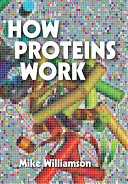 How proteins work /