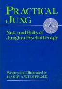 Practical Jung : nuts and bolts of Jungian psychotherapy /