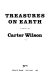 Treasures on earth : a novel /