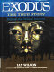 Exodus : the true story behind the Biblical account /