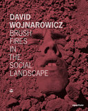David Wojnarowicz : brush fires in the social landscape /