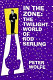 In the zone : the twilight world of Rod Serling /