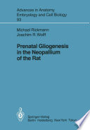 Prenatal Gliogenesis in the Neopallium of the Rat /