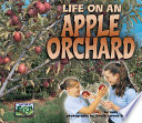 Life on an apple orchard /