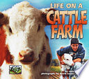Life on a cattle farm /