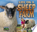 Life on a sheep farm /