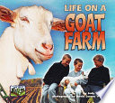 Life on a goat farm /