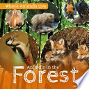 Animals in the forest /