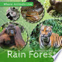 Animals in the rain forest /