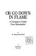 Or go down in flame : a navigator's death over Schweinfurt /