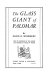 The glass giant of Palomar /