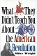 What they didn't teach you about the American Revolution /