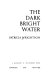 The dark bright water /