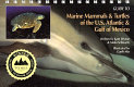 Guide to marine mammals & turtles of the U.S. Atlantic & Gulf of Mexico /