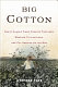 Big cotton : how a humble fiber created fortunes, wrecked civilizations, and put America on the map /