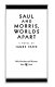 Saul and Morris, worlds apart : a novel /