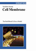 Cell membrane : the red blood cell as a model /