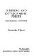 Shipping and development policy : an integrated assessment /