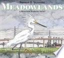Meadowlands : a wetlands survival story /