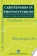 Carotenoids in Photosynthesis /