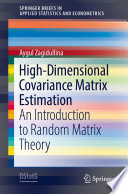 High-Dimensional Covariance Matrix Estimation : An Introduction to Random Matrix Theory /
