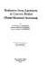 Radiation from apertures in convex bodies : (flush-mounted antennas) /