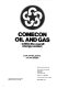 Comecon oil and gas within the overall energy context /