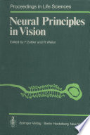 Neural Principles in Vision /