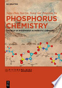 Phosphorus Chemistry : the Role of Phosphorus in Prebiotic Chemistry /