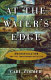 At the water's edge : macroevolution and the transformation of life /