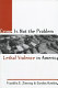 Crime is not the problem : lethal violence in America /