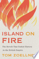 Island on fire : the revolt that ended slavery in the British Empire /