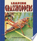 Leaping grasshoppers /