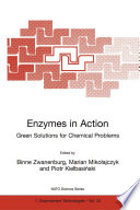 Enzymes in Action : Green Solutions for Chemical Problems Proceedings of the NATO Advanced Study Institute on Enzymes in Heteroatom Chemistry (Green Solutions for Chemical Problems) Berg en Dal, the Netherlands 19-30 June 1999 /